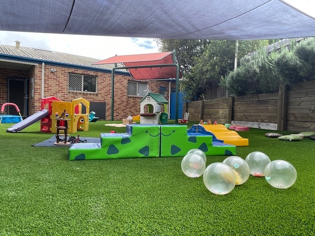 Koalas Outdoors